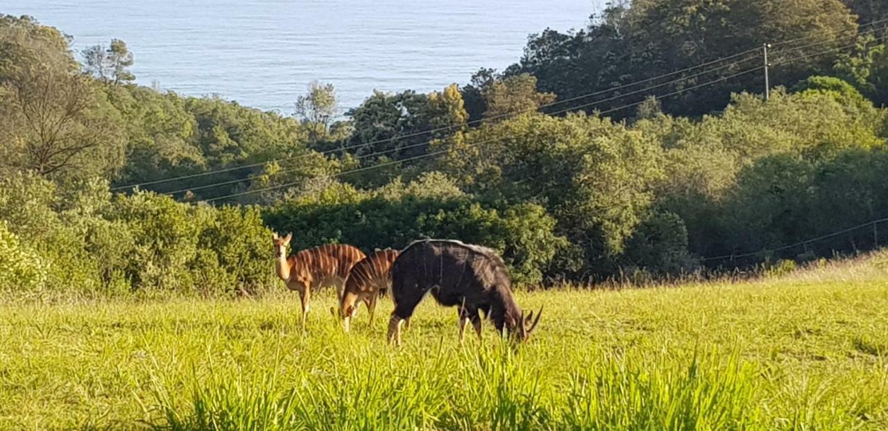 Hakuna Matata Wildernis Zewnętrze zdjęcie